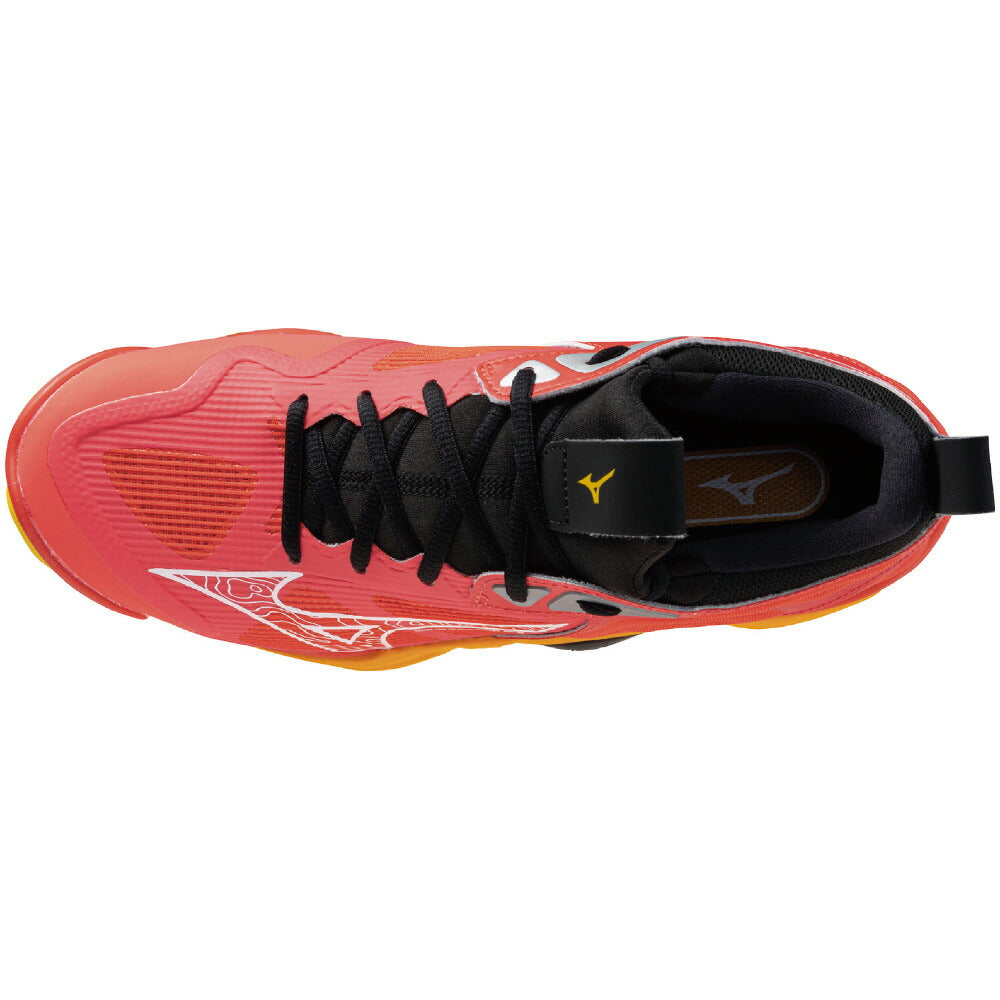 ミズノ バレーシューズ メンズ レディース 限定 ウエーブモーメンタム 3 WAVE MOMENTUM 3 V1GA231204 MIZUNO