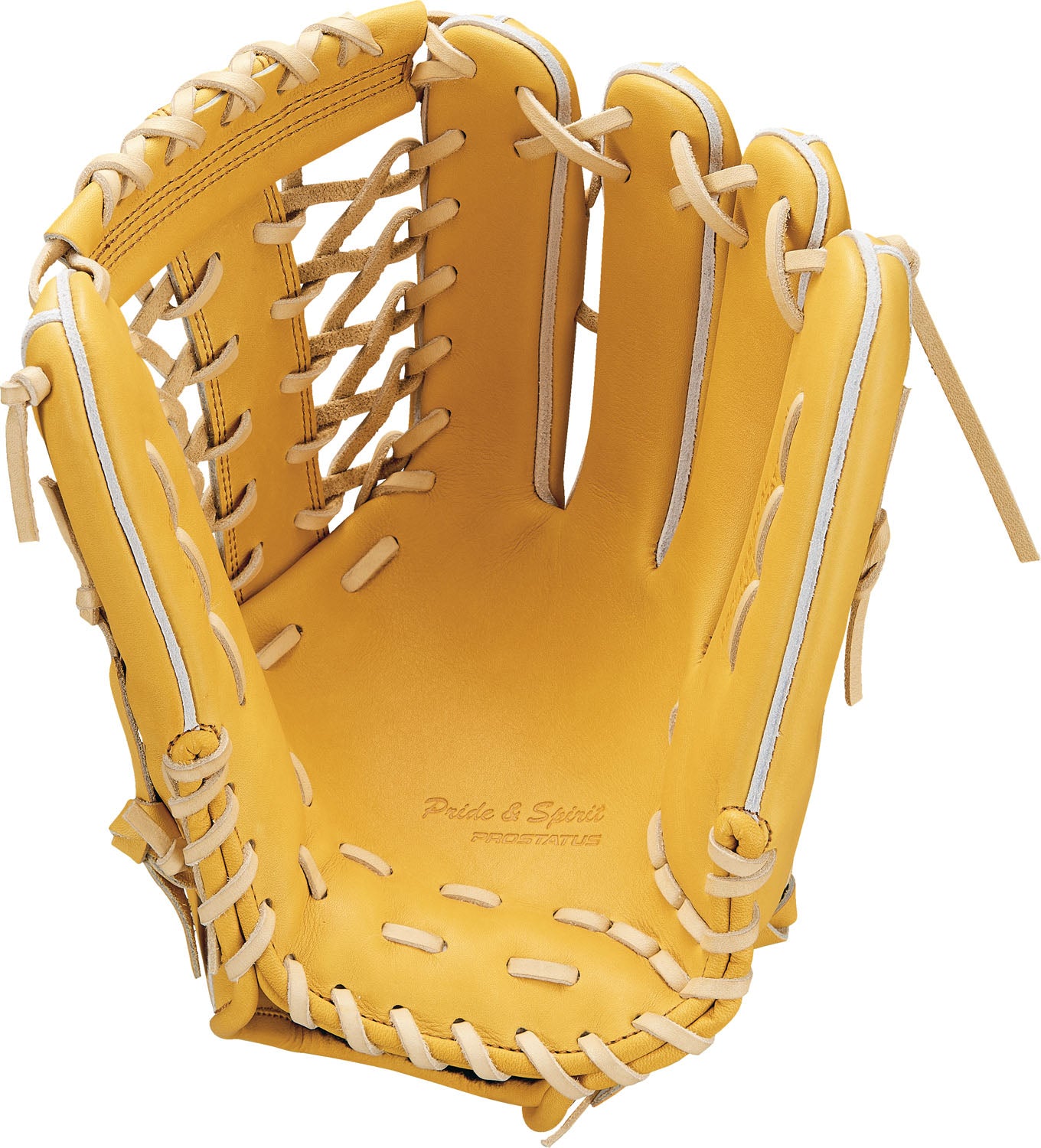 ゼット ZETT 限定 硬式グローブ 硬式 グローブ グラブ プロステイタス 外野用 外野手用 BPROG771