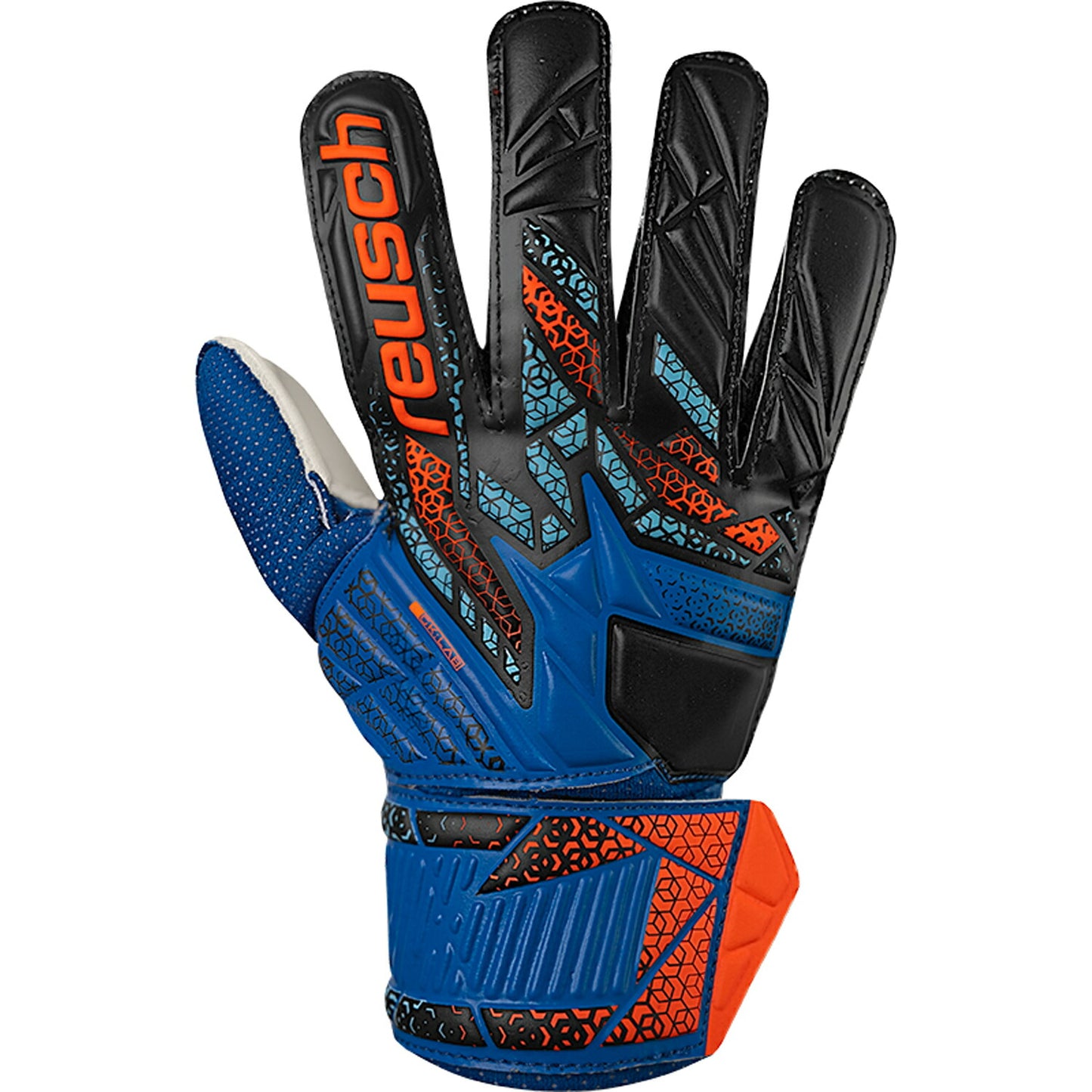 reusch ロイシュ アトラクソリッド ジュニア 5562515 キーパグローブサッカー キーパグローブ サッカー用 耐久性 プロ向け 初心者向け ジュニア向け ジュニア用 大人用 ホールド力 キーグロ