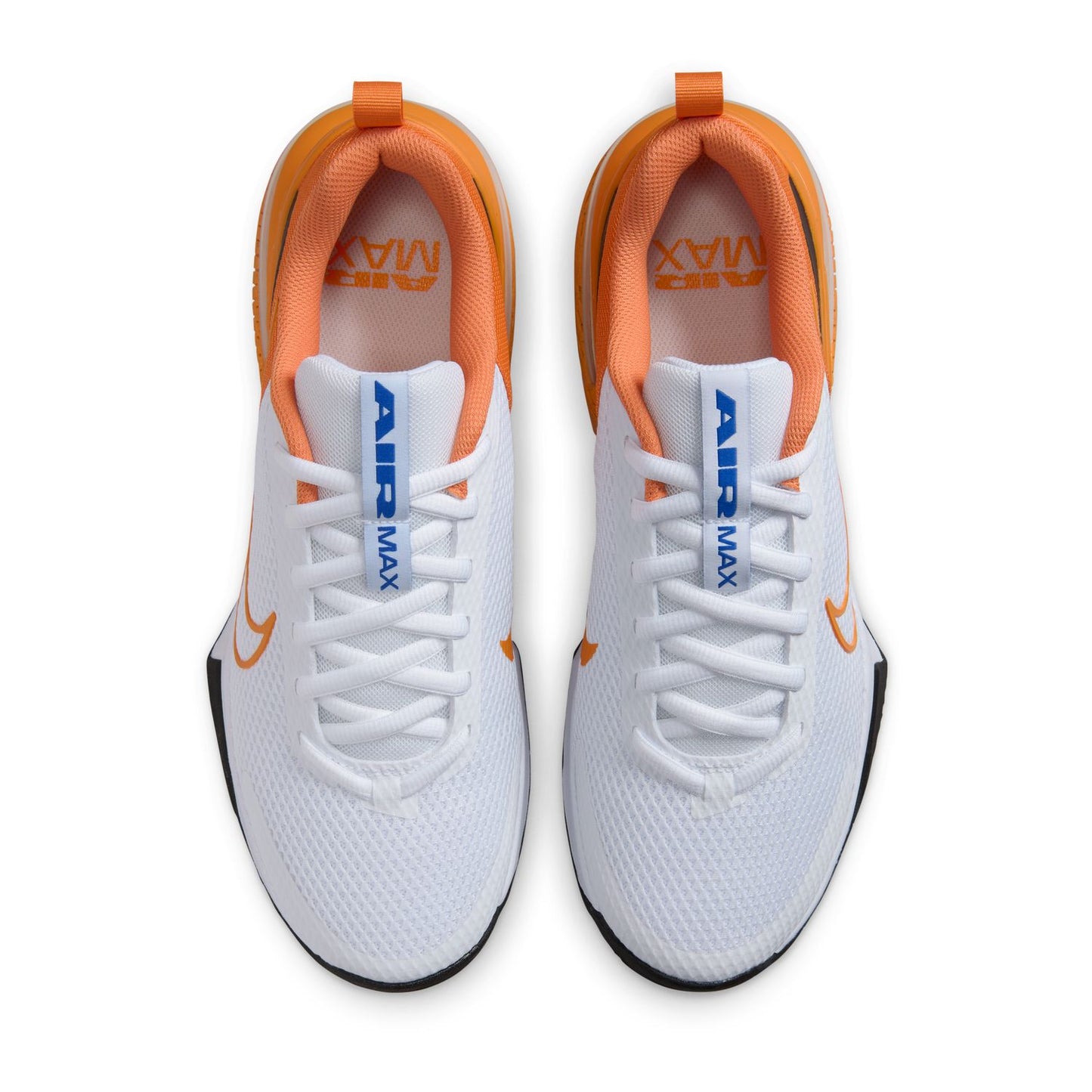 ナイキ エア マックス アルファ トレーナー 6 fq1833-101 シューズ キッズ メンズ レディース 軽量 クッション Nike