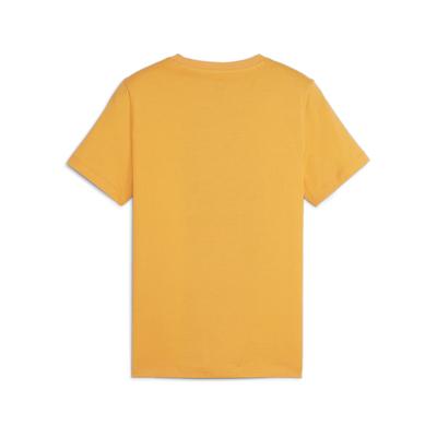 プーマ キッズ Tシャツ PUMA キッズ ボーイズ ESSプラス MID 90s ロゴ グラフィック 半袖 Tシャツ 681316 サッカー フットサル サッカーウェア 子供 ジュニア 半袖