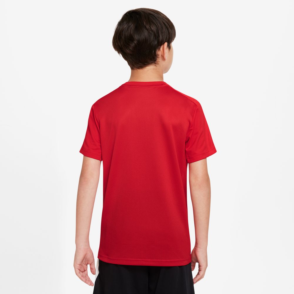 【在庫処分セール】ナイキ Tシャツ 半袖 Dri-FIT トロフィーグラフィック ナイキアパレル ナイキウェア スポーツウェア トレーニングウェア Tシャツ レディース メンズ ブランド ファッション アウトドア 半袖 dx5411-657