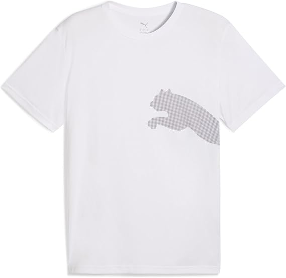 プーマ スポーティ TAD ビッグロゴ Tシャツ メンズ スポーツウェア トレーニングウェア 527364