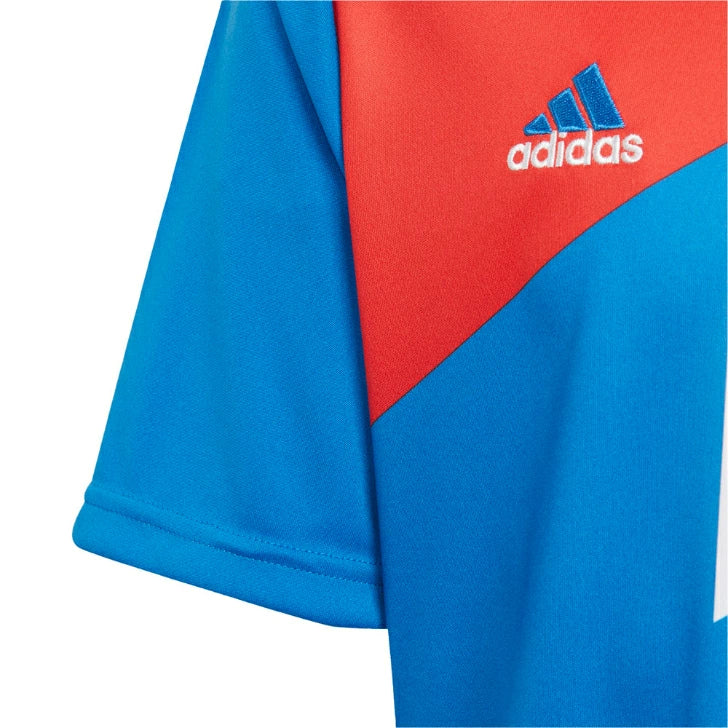 アディダス ジュニア バイエルンミュンヘン プレマッチシャツ キッズ 半袖 サッカーウェア 練習着 AEROREADY adidas Bayern Munich mlm54
