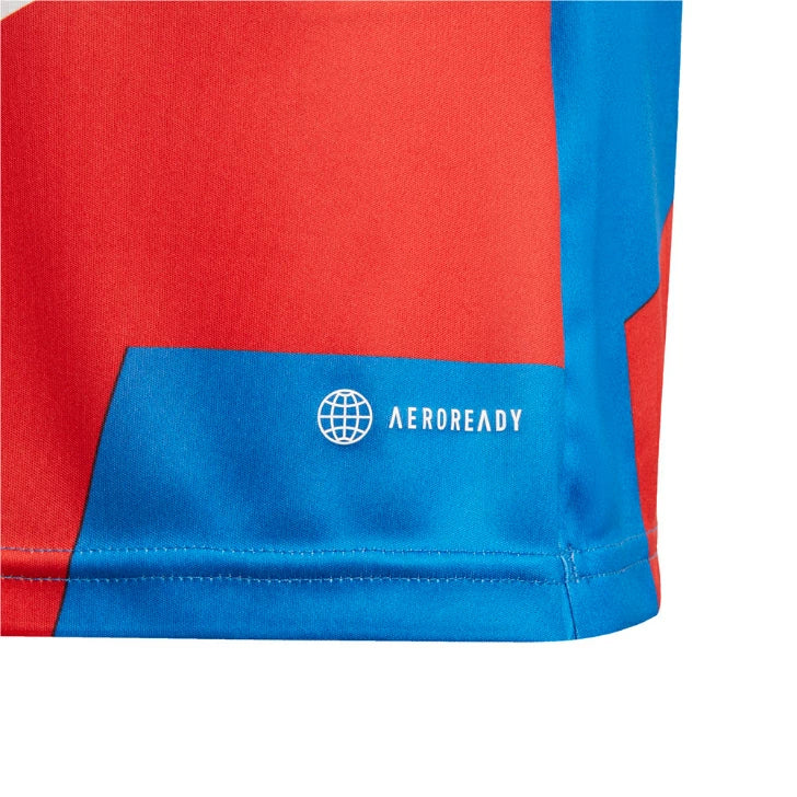 アディダス ジュニア バイエルンミュンヘン プレマッチシャツ キッズ 半袖 サッカーウェア 練習着 AEROREADY adidas Bayern Munich mlm54