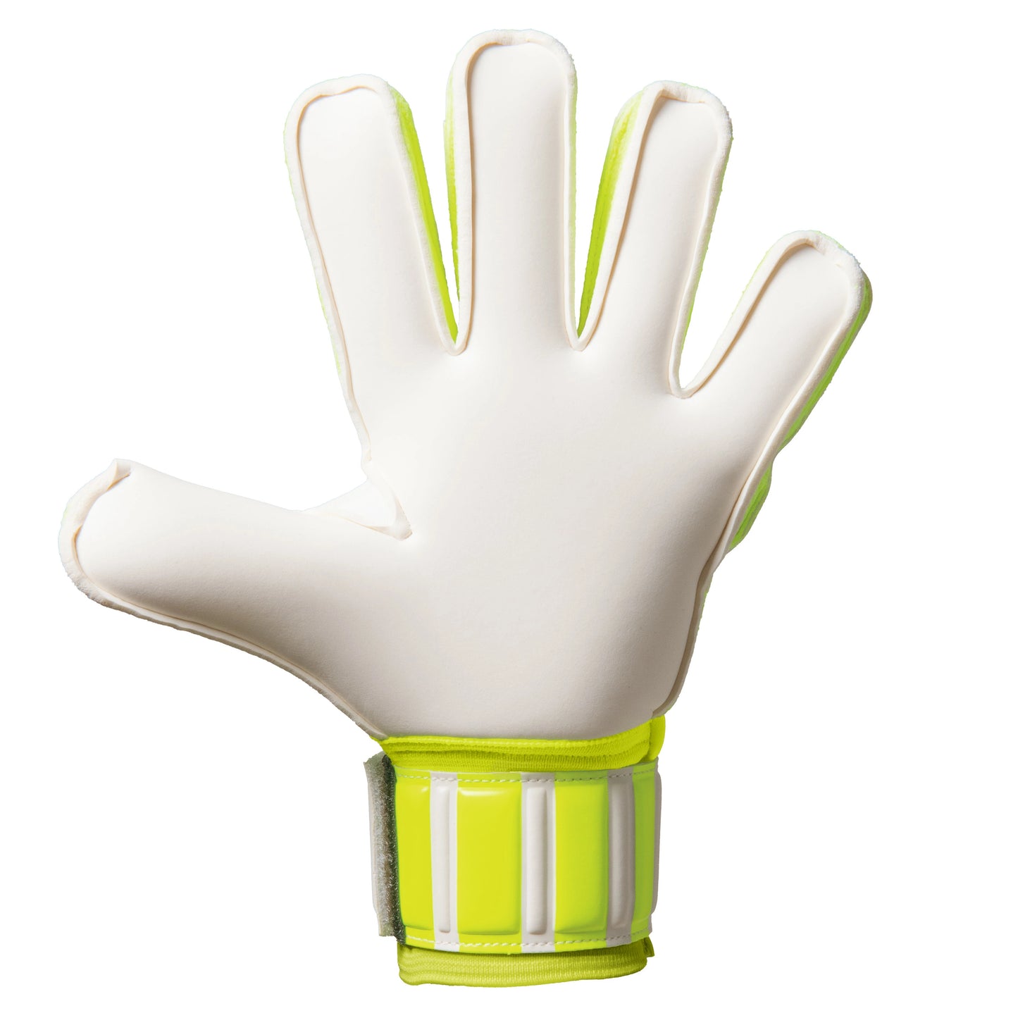 フォーカス5 ジュニア ガビック GKグローブ キッズ サッカー ゴールキーパー用 フラットカット 練習 試合 両用モデル gc3213