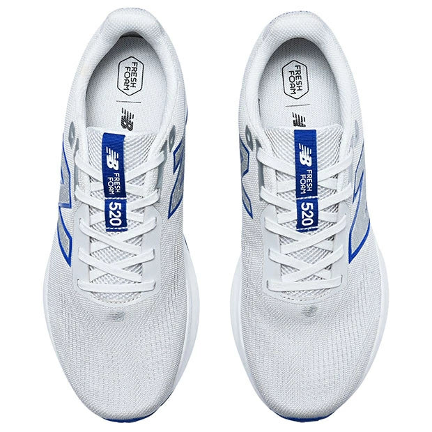 ニューバランス FRESH FOAM 520 V9 メンズ ランニングシューズ 2E グレー ジョギング ウォーキング FRESHFOAM 軽量 m520lg92e