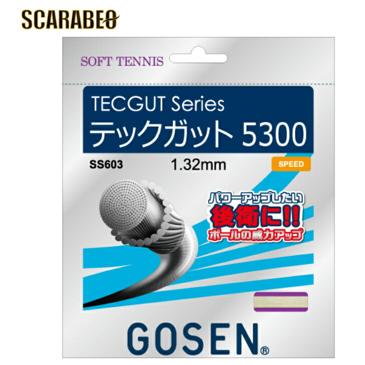 ゴーセン(GOSEN) ソフトテニス ストリングス テックガット 5300  SS603 ホワイト