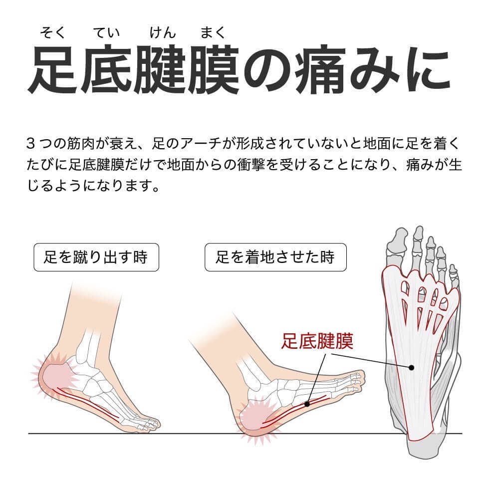 アクティバイタル Activital PROファイブ hrd106 サッカー用ソックス 滑り止め 五本指サッカーソックス 足首サポート ソックス サッカー 抗菌防臭 サポート力強化靭帯損傷対応 プロ選手愛用 サイズS M L XL 高校サッカー対応