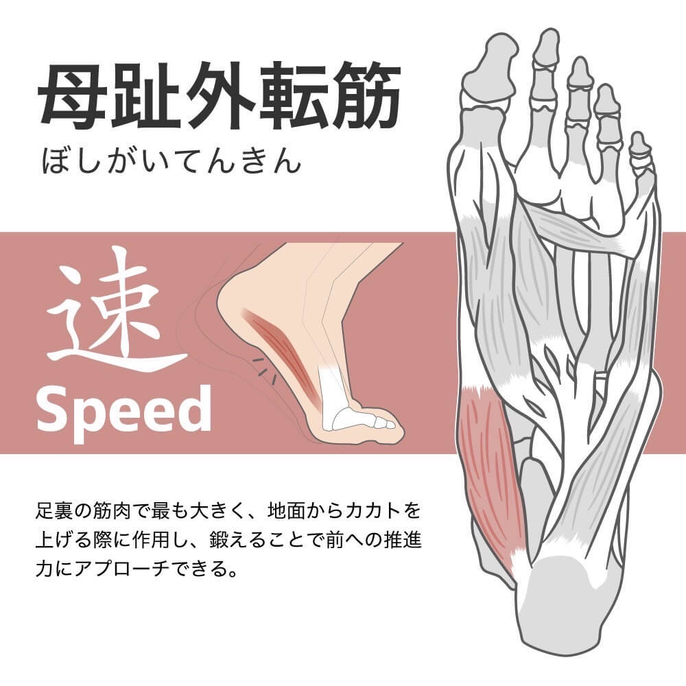 アクティバイタル Activital PRO hrd1054 hrd1055 サッカー用ソックス 滑り止め 五本指サッカーソックス 足首サポート ソックス サッカー 抗菌防臭 サポート力強化靭帯損傷対応 プロ選手愛用 サイズS M L XL 高校サッカー対応