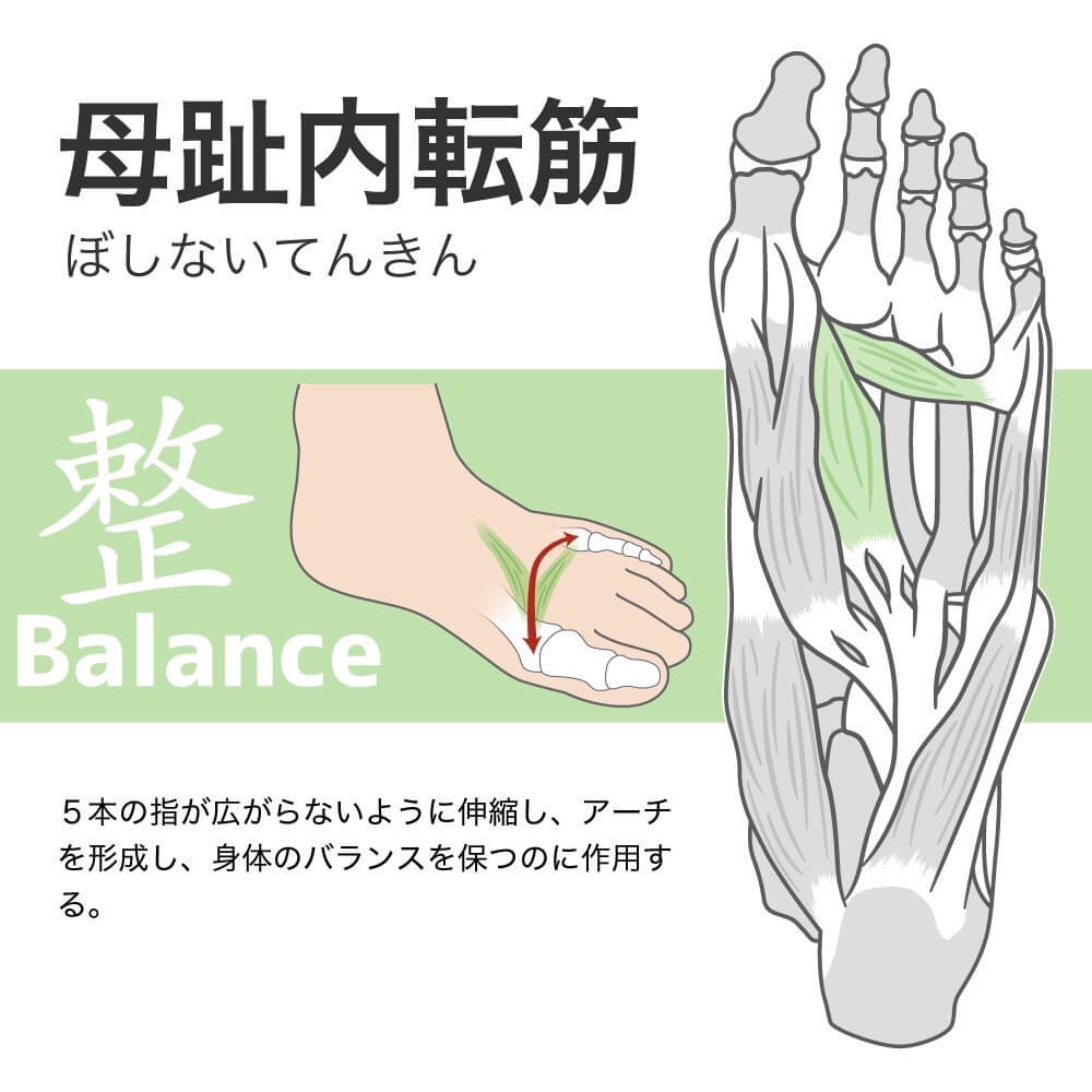 アクティバイタル Activital PRO hrd1054 hrd1055 サッカー用ソックス 滑り止め 五本指サッカーソックス 足首サポート ソックス サッカー 抗菌防臭 サポート力強化靭帯損傷対応 プロ選手愛用 サイズS M L XL 高校サッカー対応