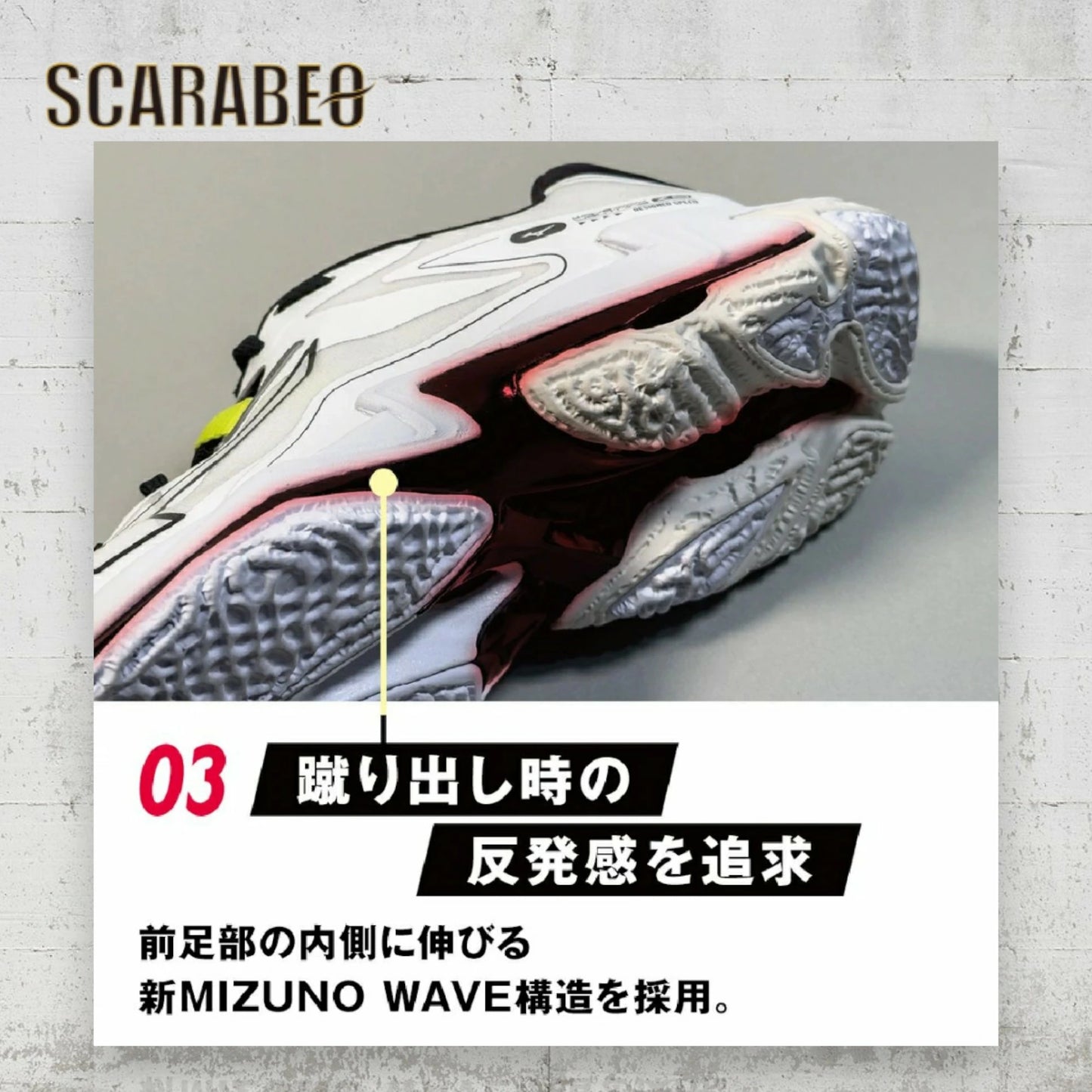 ミズノ バレーボールシューズ WAVE LIGHTNING Z8 WIDE ブラック×シルバー メンズ レディース 3E 幅広 軽量 反発 クッション V1GA240158 v1ga240158