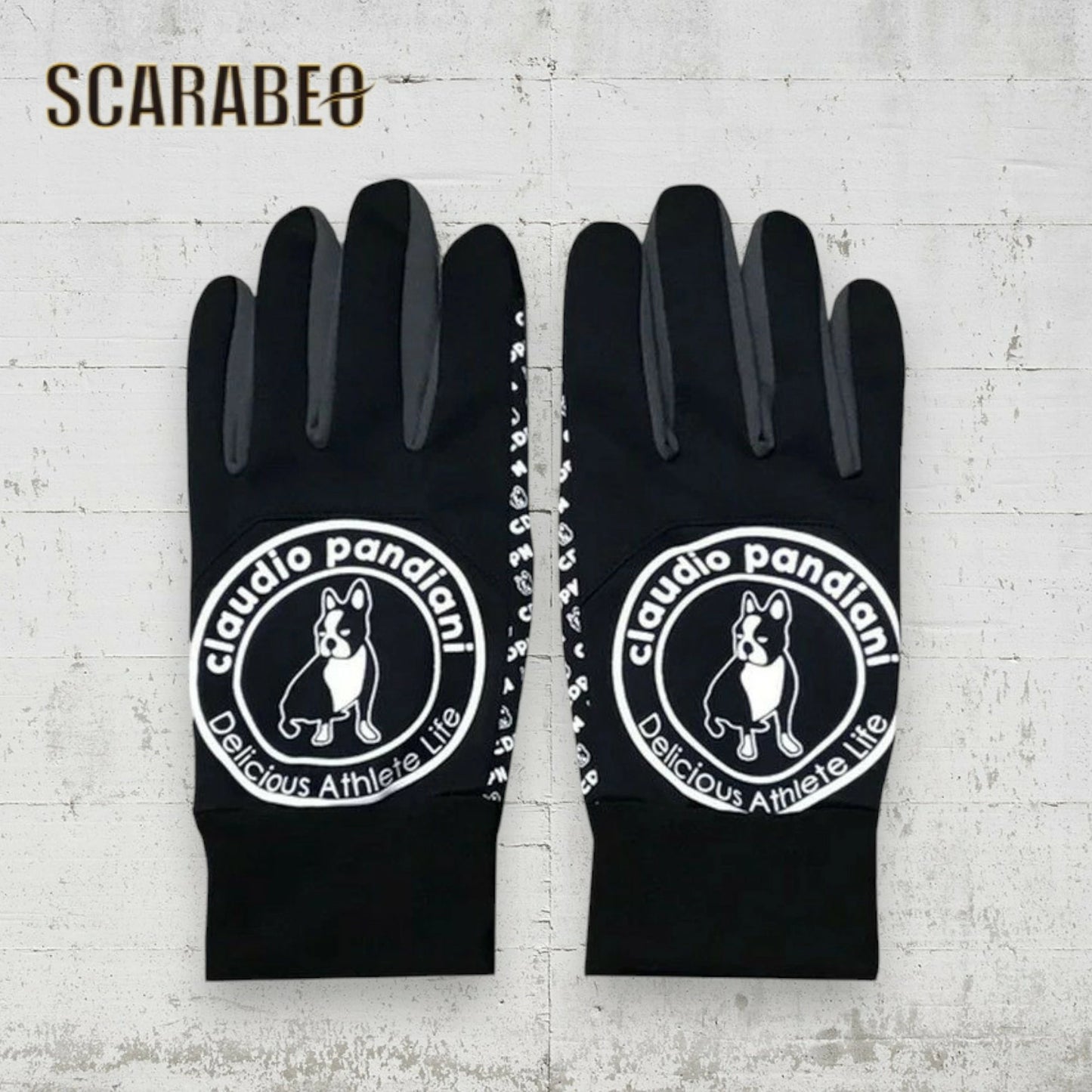 Claudio Pandiani フィールドグローブ サークル 25AW CP25D50 防風 撥水 保温 スマホ対応 手袋 メンズ レディース S M L ブラック ネイビー cp25d50