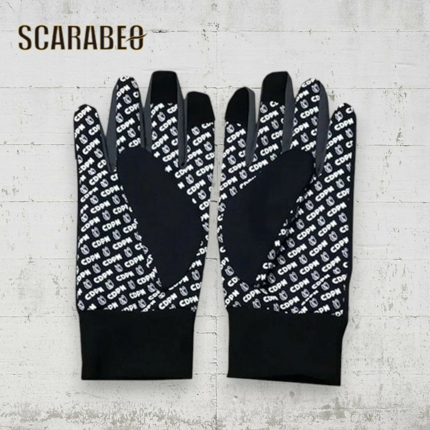 Claudio Pandiani フィールドグローブ サークル 25AW CP25D50 防風 撥水 保温 スマホ対応 手袋 メンズ レディース S M L ブラック ネイビー cp25d50