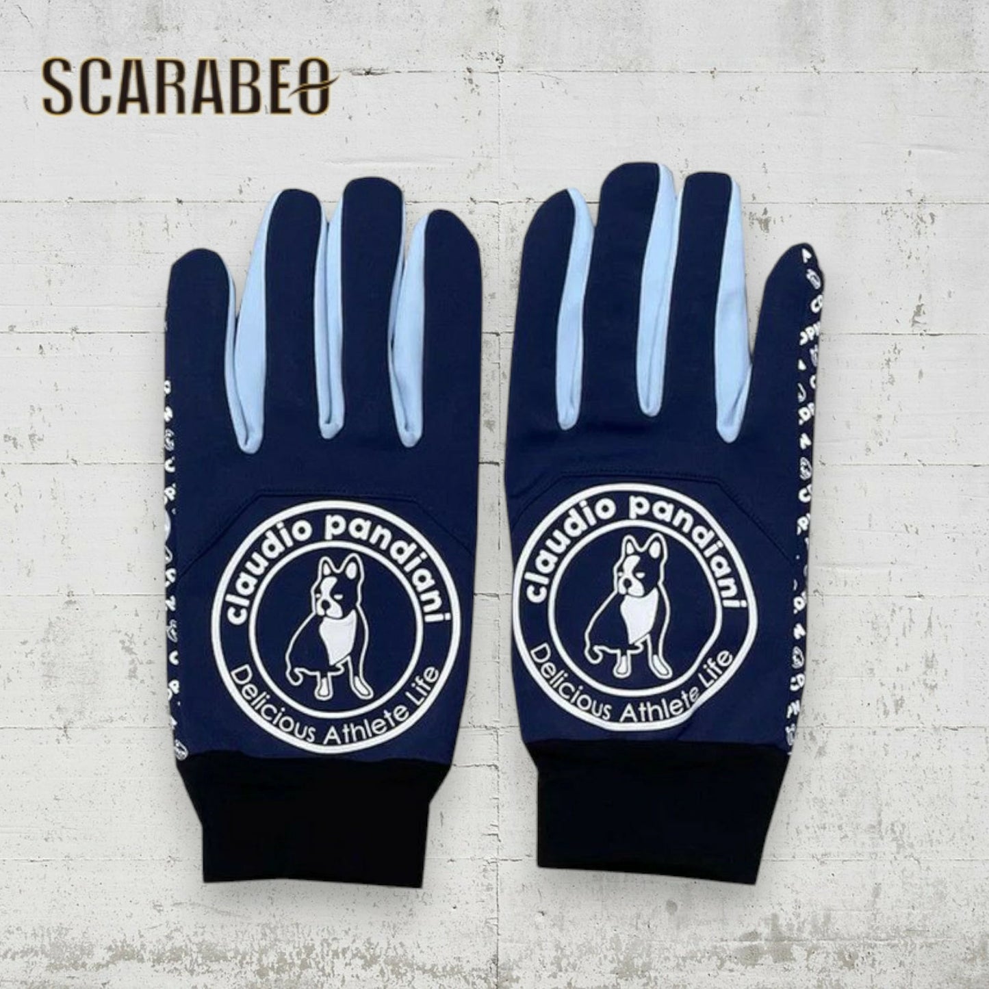 Claudio Pandiani フィールドグローブ サークル 25AW CP25D50 防風 撥水 保温 スマホ対応 手袋 メンズ レディース S M L ブラック ネイビー cp25d50