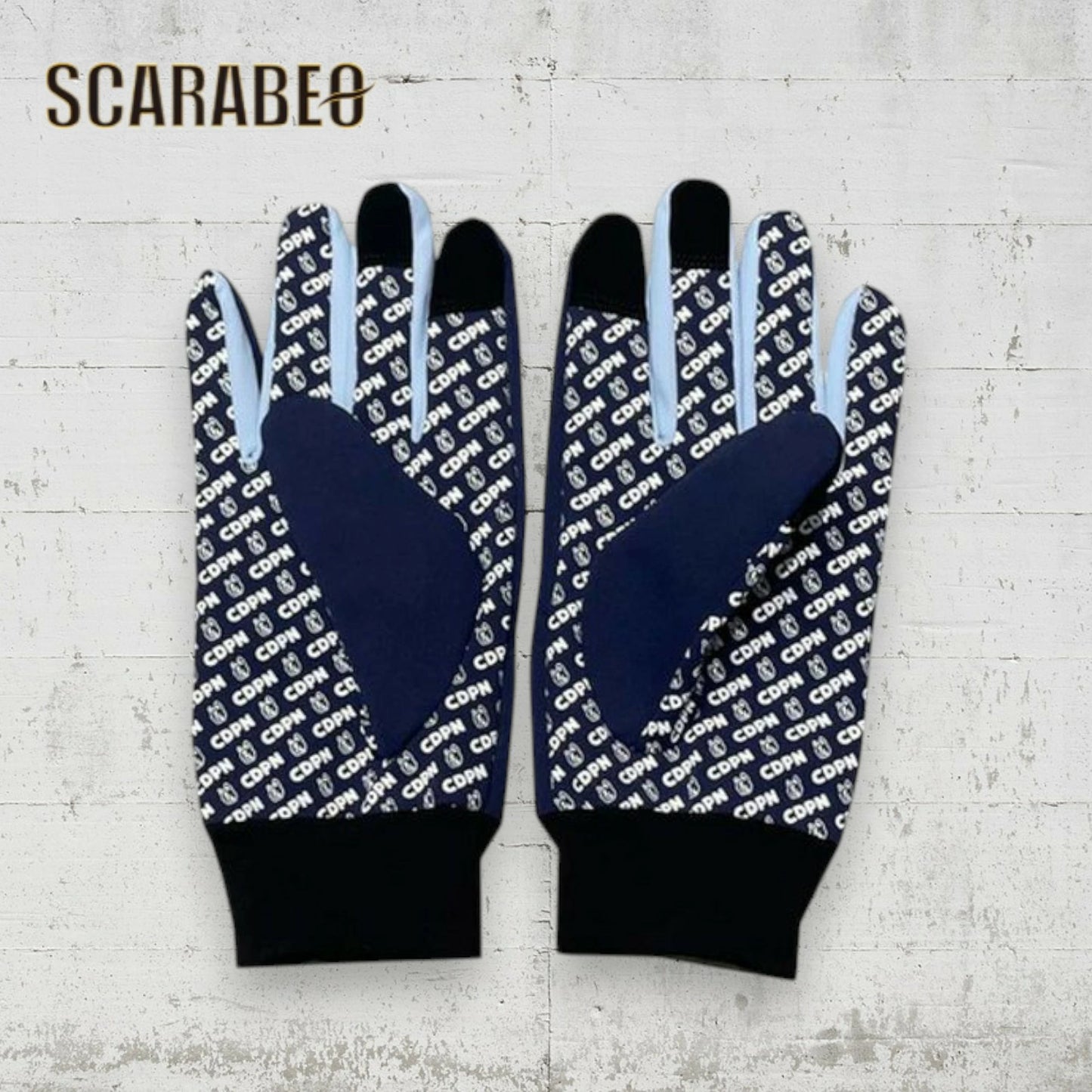 Claudio Pandiani フィールドグローブ サークル 25AW CP25D50 防風 撥水 保温 スマホ対応 手袋 メンズ レディース S M L ブラック ネイビー cp25d50