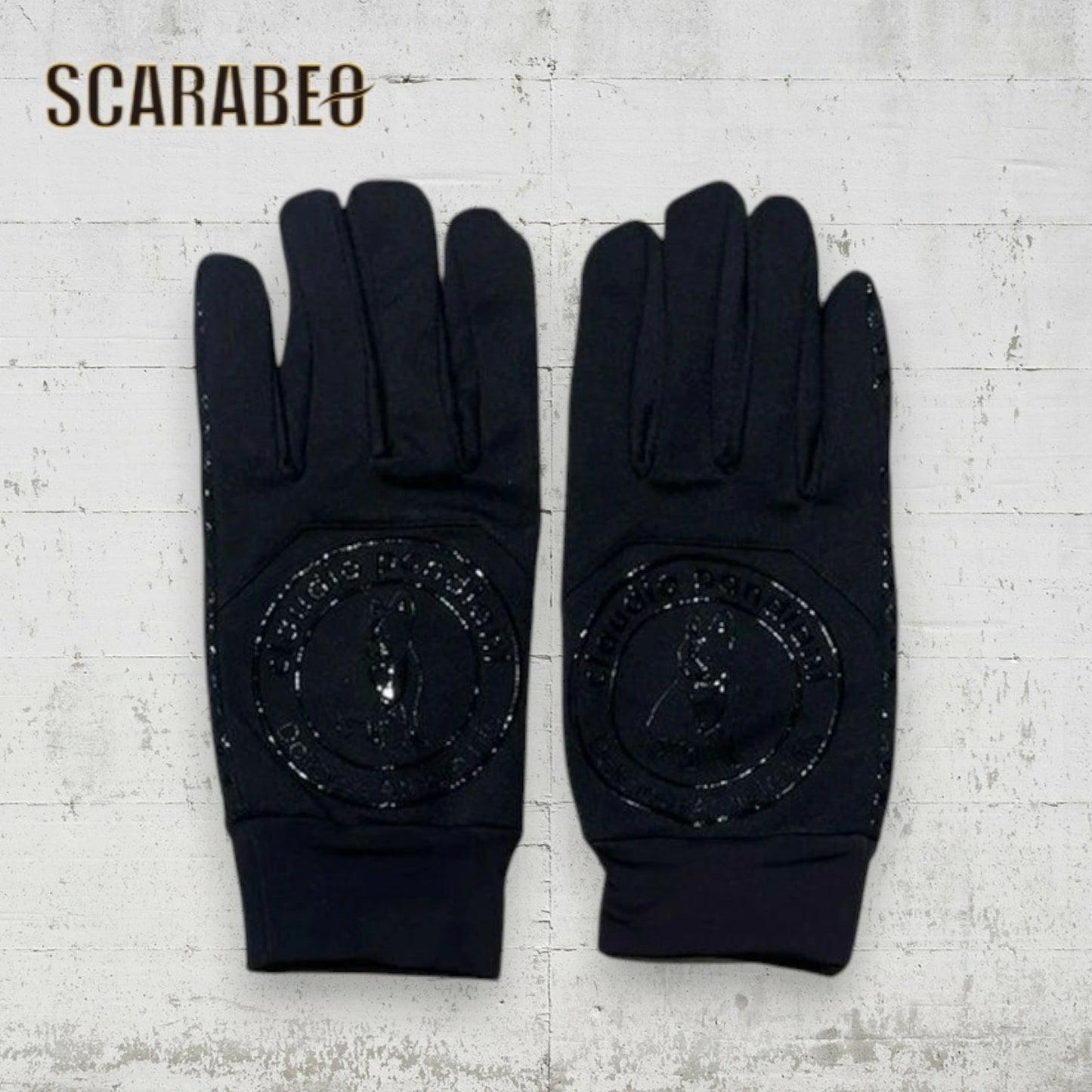 Claudio Pandiani フィールドグローブ サークル 25AW CP25D50 防風 撥水 保温 スマホ対応 手袋 メンズ レディース S M L ブラック ネイビー cp25d50