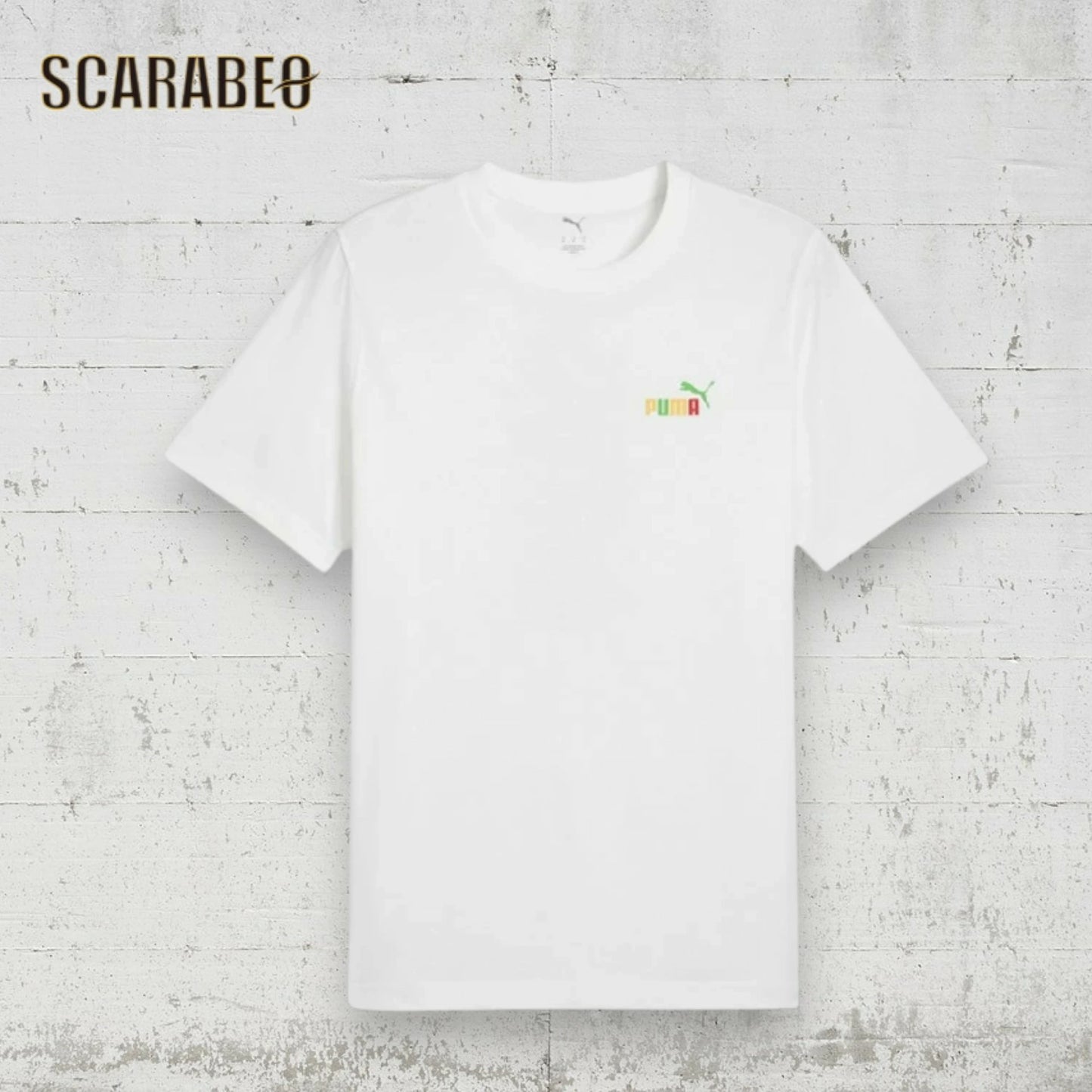 プーマ PUMA メンズ Tシャツ 半袖 GRAPHICS バック Tシャツ 687701 綿100% カジュアル スポーツウェア トレーニング ロゴ グラフィック バックプリント 687701