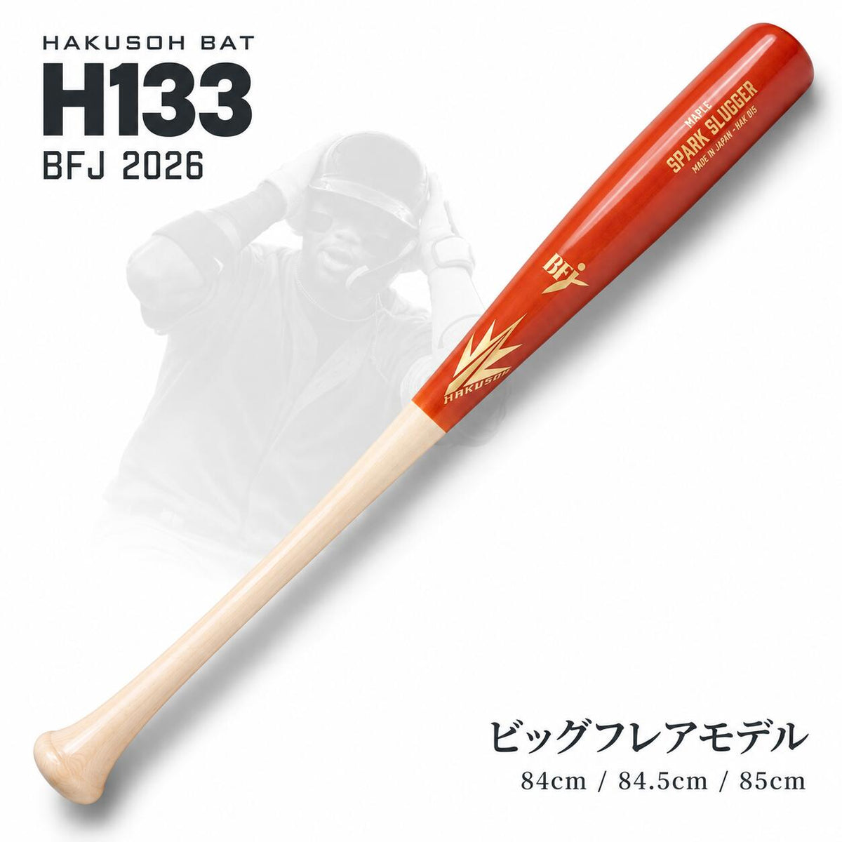 h133-bha-084