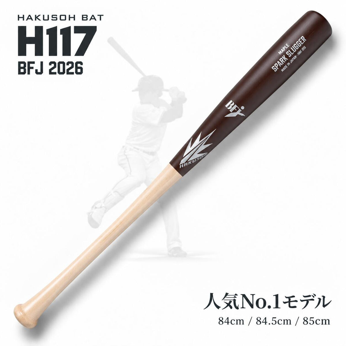h117-bha-067