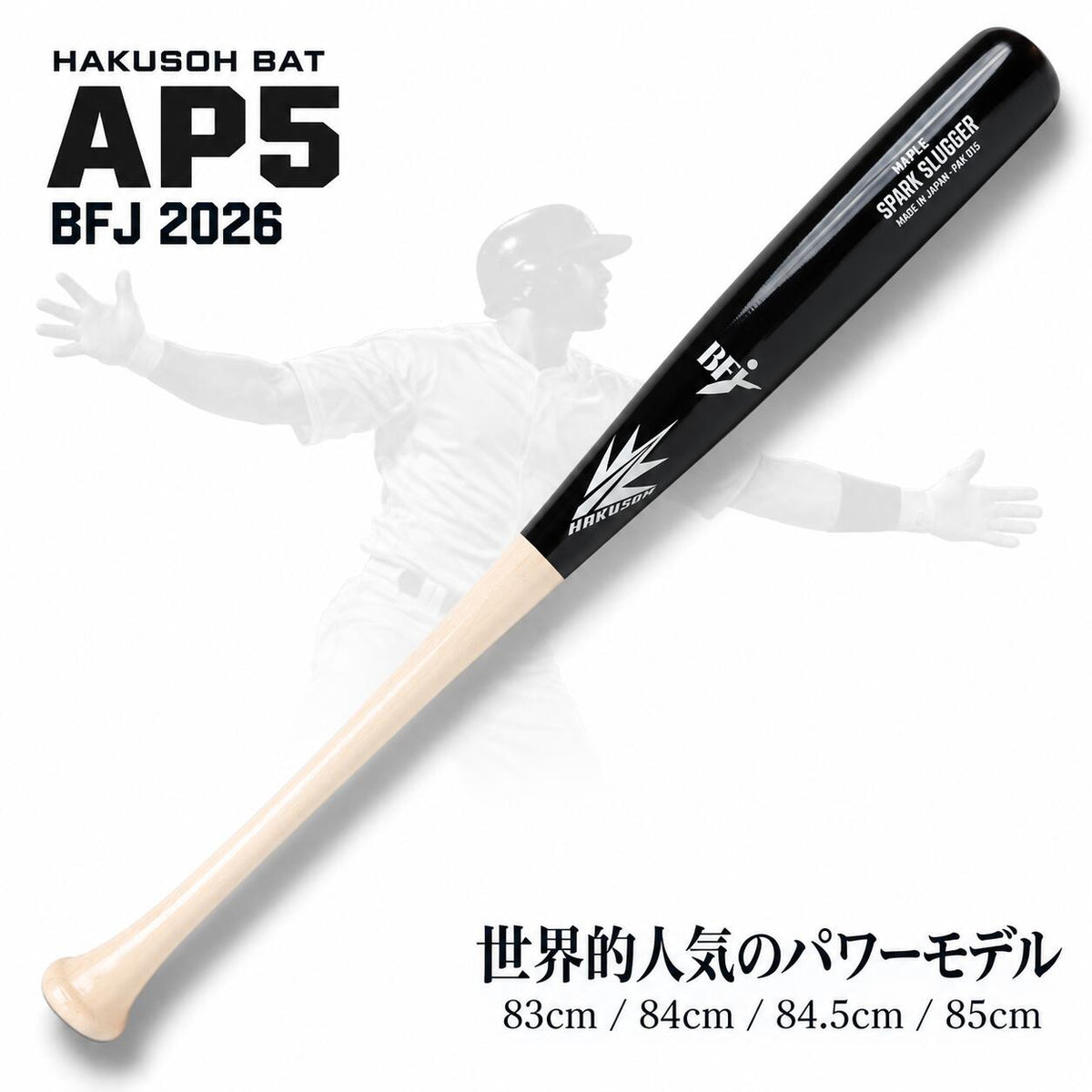 ap5-bha-080